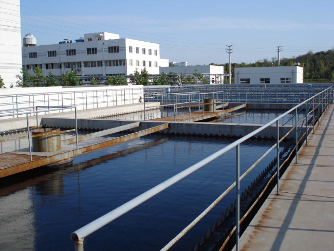 1742204019102553.jpg 1741850045290034.jpg