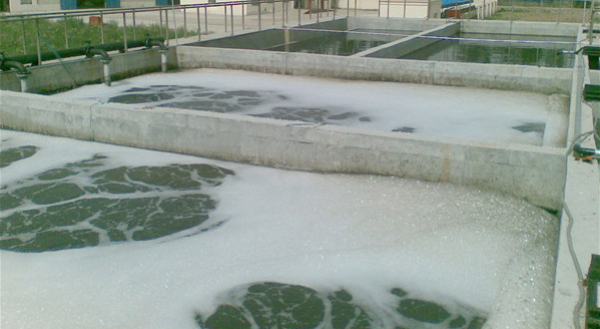 1742204856211813.jpg 1741850681867794.jpg